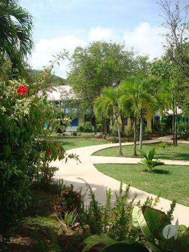 Nanny Cay Hotel Road Town  Bagian luar foto